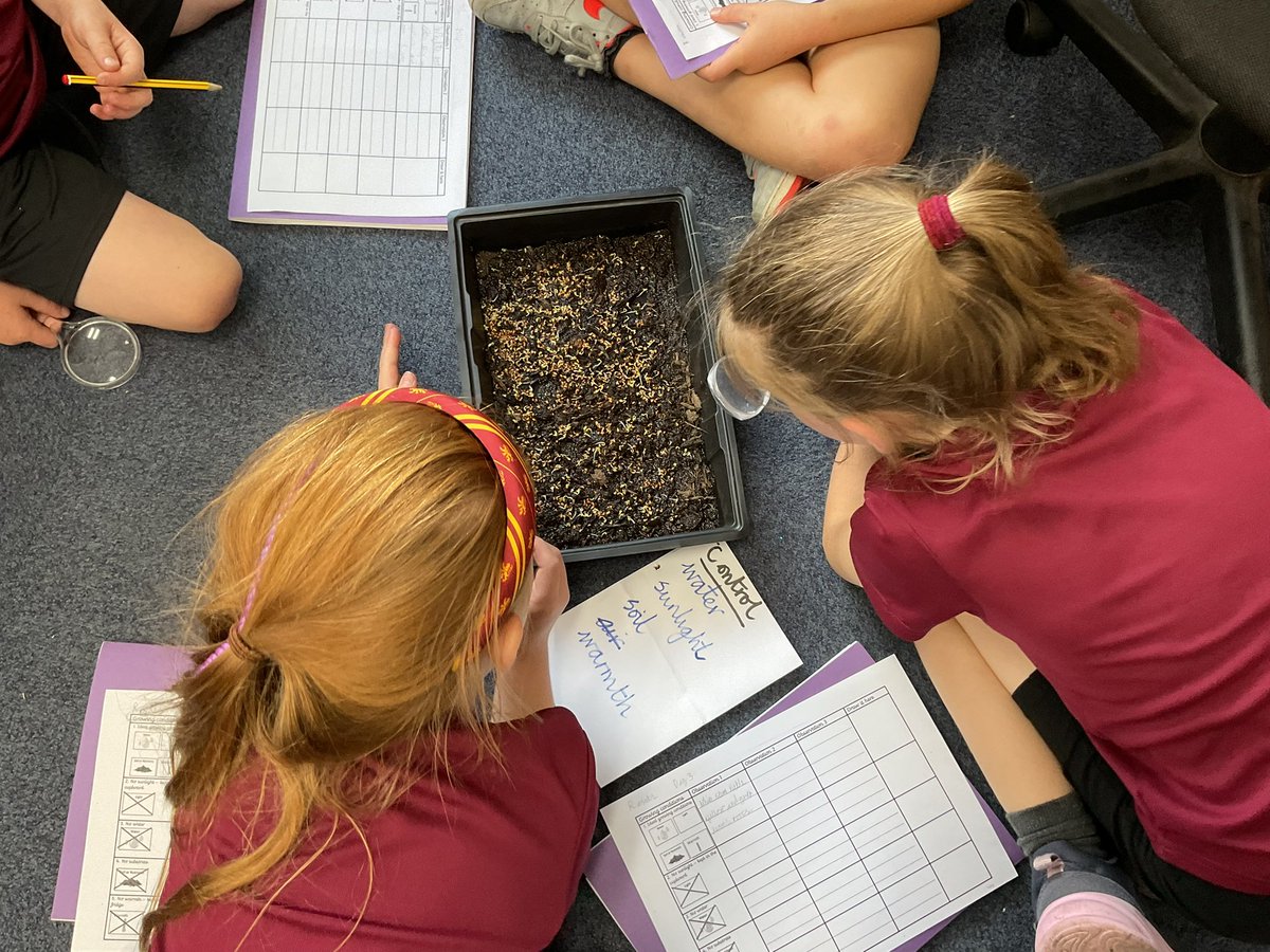 PDA_Y2's tweet image. Developing our working scientifically skills as we observe our plant investigation on day 3. #pdascience 👀⭐️👀⭐️👀