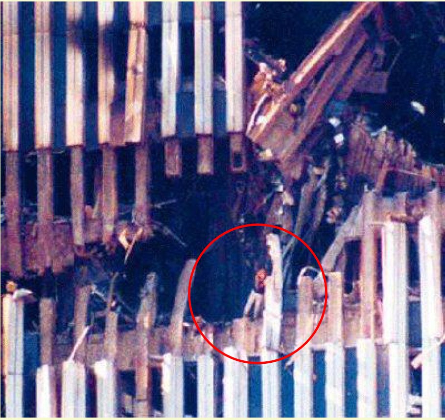 turbotruth 🇺🇸 tweet media