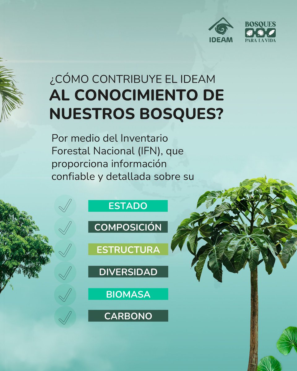 🌳 Celebramos el Día Internacional de la Preservación de los #BosquesTropicales. Son fuente de vida, agua y equilibrio para el planeta. Compartimos datos sobre su estado y riqueza. 

#BosquesParaLaVida #Clima