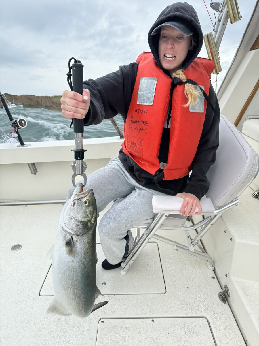 allisonoconn's tweet image. New LinkedIn profile pic just dropped. Looking pro-fish-ional.