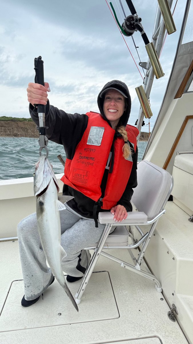 allisonoconn's tweet image. New LinkedIn profile pic just dropped. Looking pro-fish-ional.