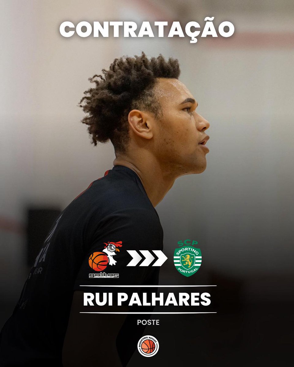 HERE WE GO: RUI PALHARES VAI SER JOGADOR DO SPORTING CP 📷

O rumor lançado há uns dias pela Basquetebol Notícias está agora confirmado: Rui Palhares vai rumar ao Sporting CP na próxima temporada!