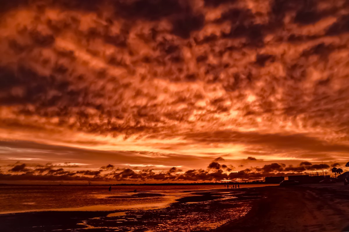 Floridian Creations tweet media