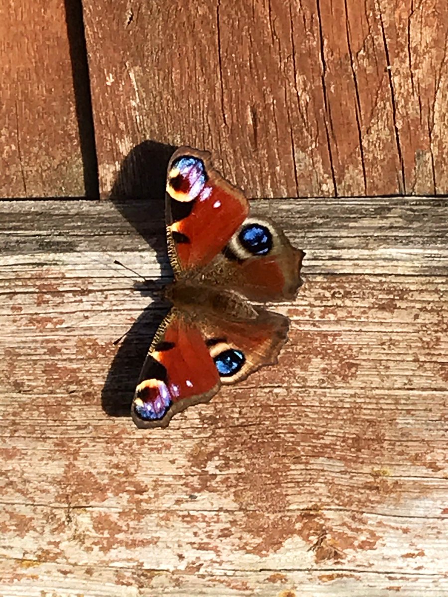 G☀️☀️d morning &amp; happy Friday. Hope you all have an excellent day ☕️

Whats everyone got planned for the weekend?