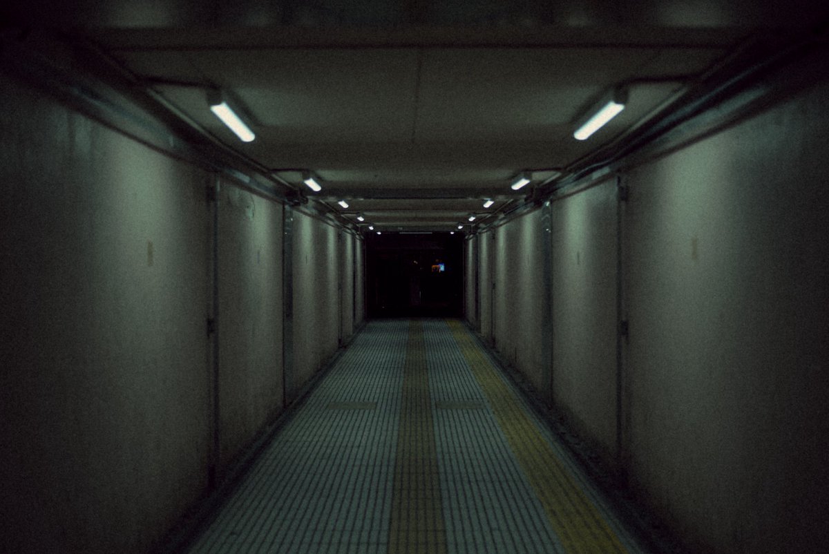 Mocha (@mochamemory) on Twitter photo 