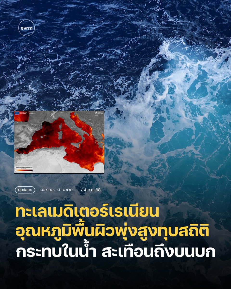 CLIMATE CHANGE: อุณหภูมิน้ำทะเลเมดิเตอร์เรเนียนที่สูงเป็นประวัติการณ์ กระทบในน้ำสะเทือนถึงบนบก

เมื่อวันที่ 29 มิ.ย. ที่ผ่าน อุณหภูมิผิวน้ำในทะเลเมดิเตอร์เรเนียนพุ่งกระฉุดสูงสุดเป็นประวัติการณ์ ไปแตะอยู่ที่ 26.01°C ตอนนี้อุณหภูมิโดยรวมสูงกว่าค่าเฉลี่ยปกติถึง 3°C