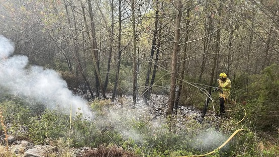 🌩️🔥Tarda de temporal amb caiguda d'arbres i un incendi a l'Alt Penedès
elcargol.com/index.php/soci…