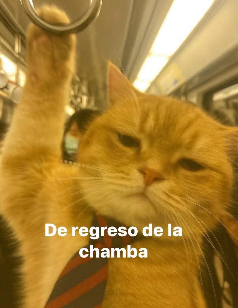 Otra vez:(