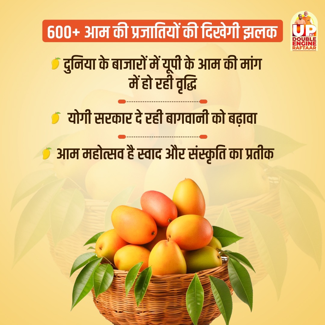 उत्तर प्रदेश आम महोत्सव-2025, न सिर्फ स्वाद का उत्सव है, बल्कि यह उस बदलाव की तस्वीर भी है जहां योगी सरकार के प्रयासों से यूपी का आम अब वैश्विक पहचान बना चुका है। 600 से अधिक प्रजातियों की प्रदर्शनी, बढ़ता निर्यात और किसानों को नई उड़ान देता यह महोत्सव, प्रदेश की सांस्कृतिक