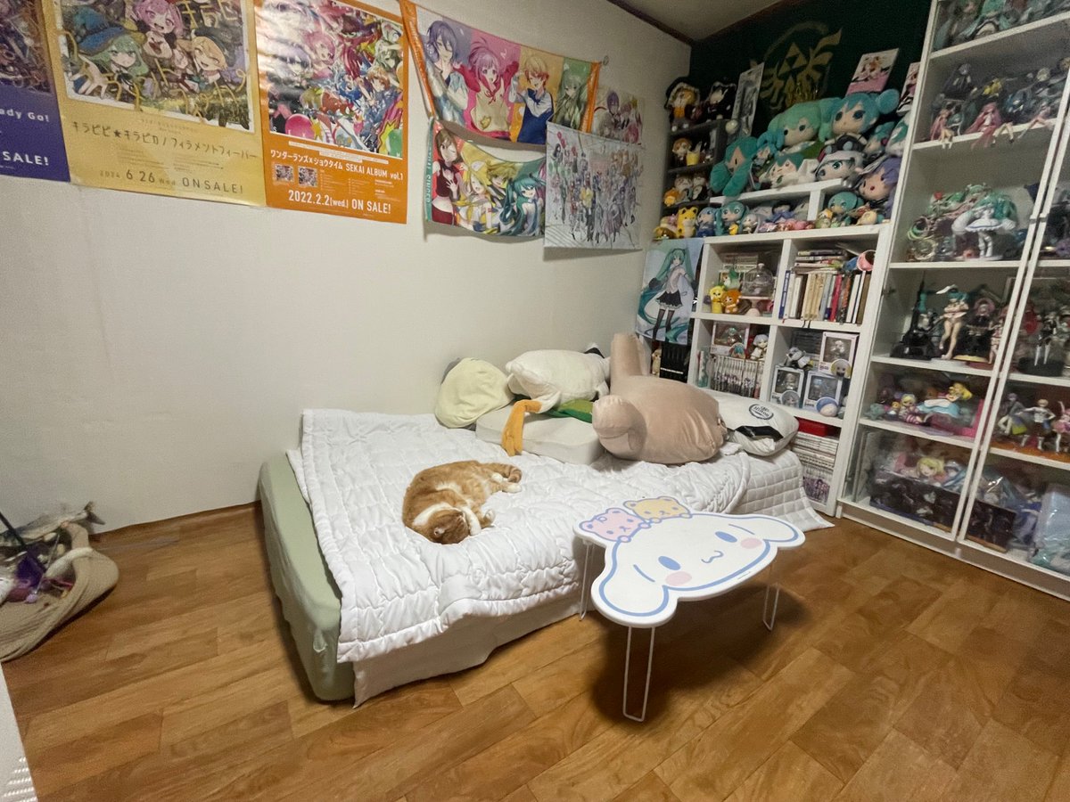 정신병구간 이겨내고 방청소해서
사람들에게 비포애프터 자랑했더니
모두가 고양이가 눈치보고있었는데 
이제 편해보여요라고했다
몰랏어 미안 
일어나자 방치우자 고양이가 눈치본다