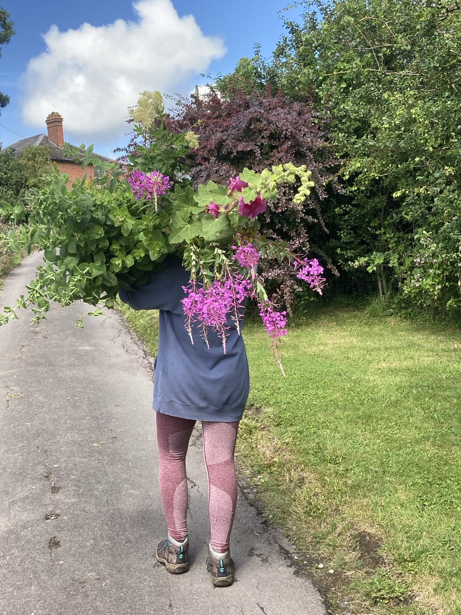 Daughter Emma &amp; Trouble back this afternoon to finish off pruning BIG shrub/tree!! Wacked me out yesterday we both had to jump in shower &amp; put clothes in wash terrible dust or something!!!