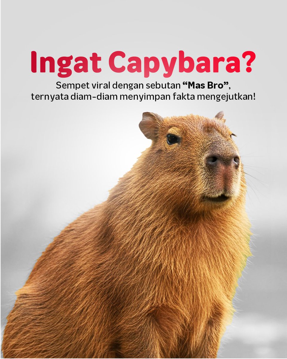 Telkomsel tweet media