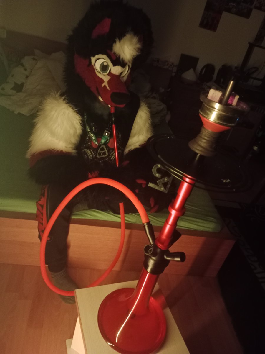 Anyone wanna join me for a shisha this #FursuitFriday?

🧵 <a href="/ArgetandLazuli/">Arget & Lazuli</a> 
📷 <a href="/Darksweet_Furry/">Darksweet_AD 🔜FHP</a>