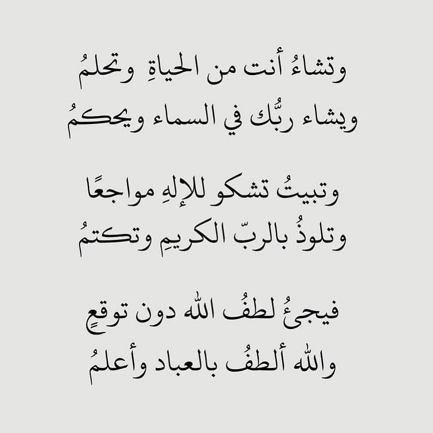 بيت شعر عربي كل يوم (@arabicpoet0) on Twitter photo 