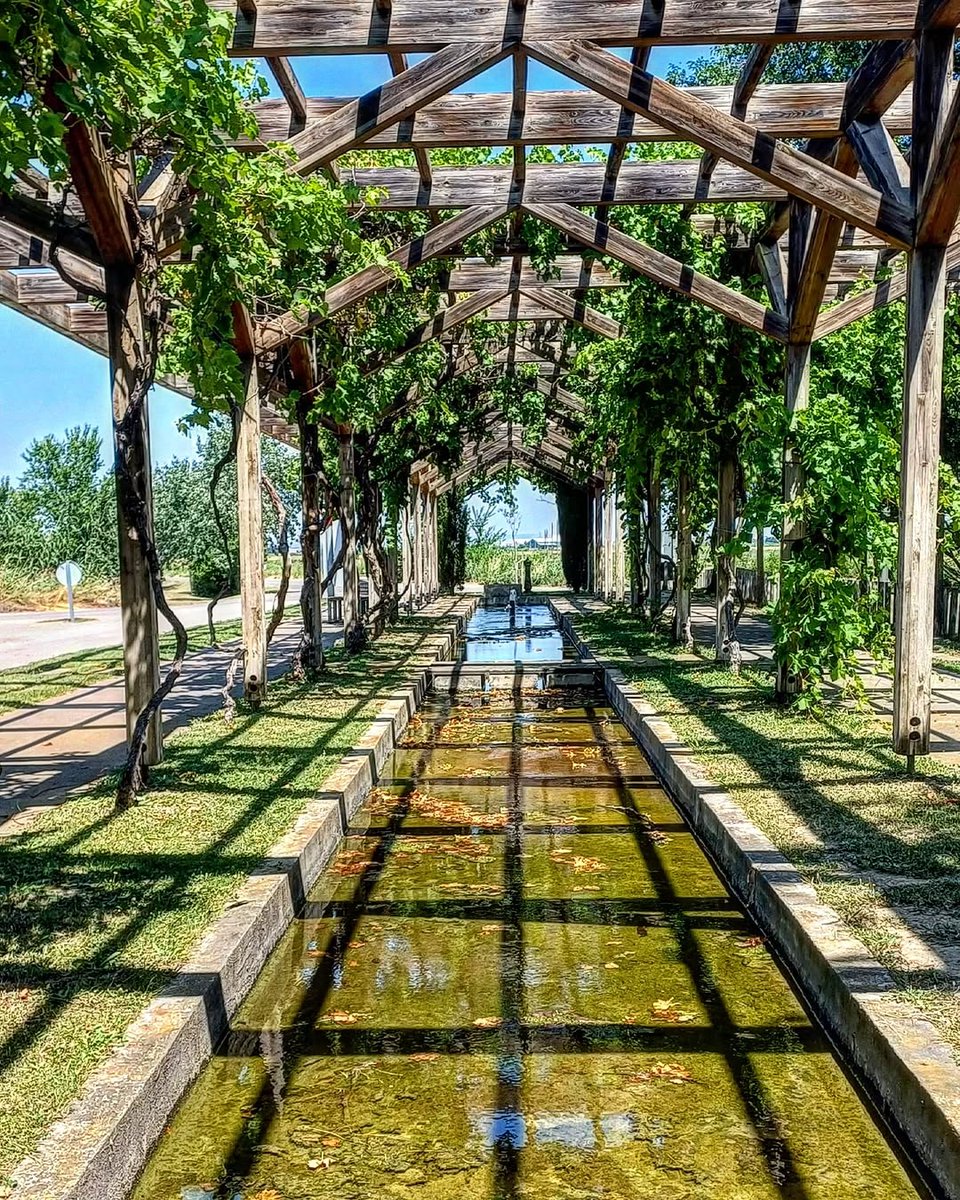 El Galacho de La Alfranca es un rincón único a pocos minutos de Zaragoza: naturaleza viva, aves, senderos y aire puro junto al Ebro🌳

Un lugar perfecto para pasear, aprender y disfrutar en familia o con amigos👨‍👩‍👧‍👦Ideal para conectar con el entorno💚

📸IG munay_nines

#ZGZtequiere
