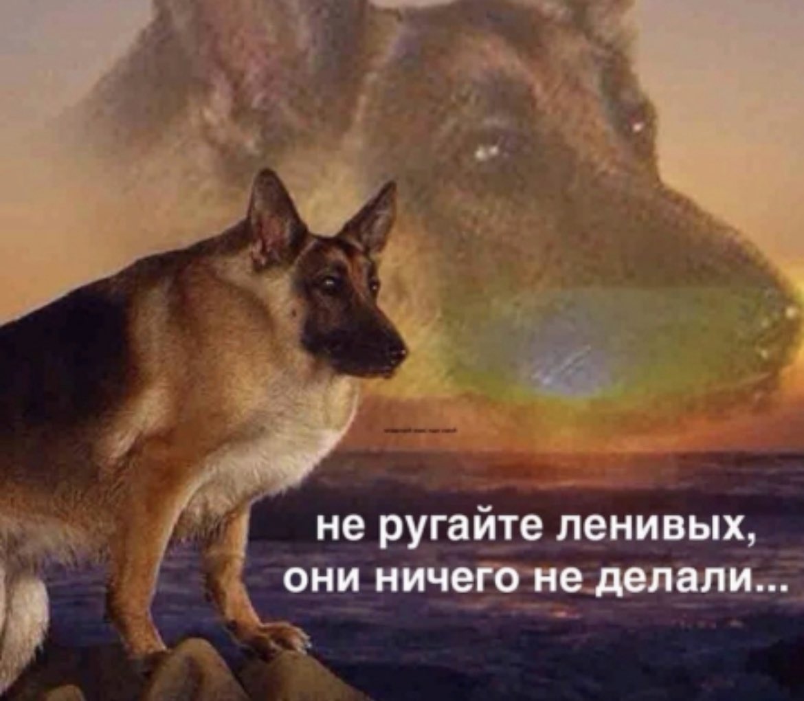 ужасные мемы (@liltonder) on Twitter photo 