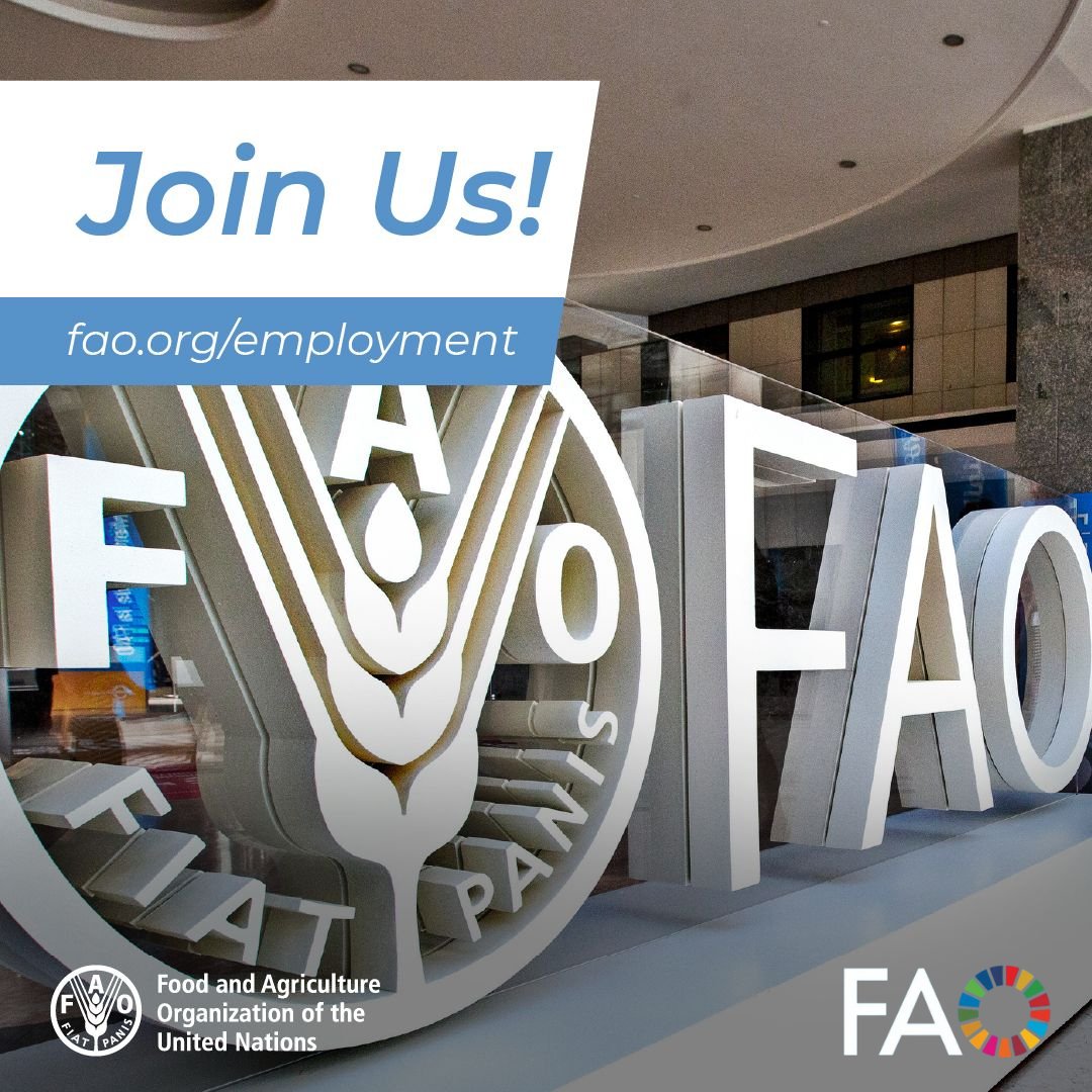 FAOGeneva (@faogeneva) on Twitter photo .<a href="/FAO/">Food and Agriculture Organization</a> works on sustainable agrifood systems transformation for better production, better nutrition, a better environment and a better life, leaving no one behind.
Want to join us?
Check out our current vacancies 👉 bit.ly/3pnIdVQ .<a href="/FAO/">Food and Agriculture Organization</a> works on sustainable agrifood systems transformation for better production, better nutrition, a better environment and a better life, leaving no one behind.
Want to join us?
Check out our current vacancies 👉 bit.ly/3pnIdVQ