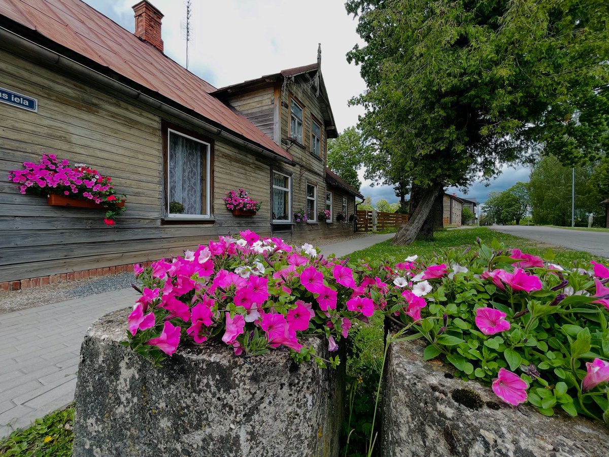 vkoralis's tweet image. MĀCĪTĀJA CEĻOS. MAZSALACA

#mazsalaca #ziemeļvidzeme #saruna #kāzusarua #mācītājaceļos