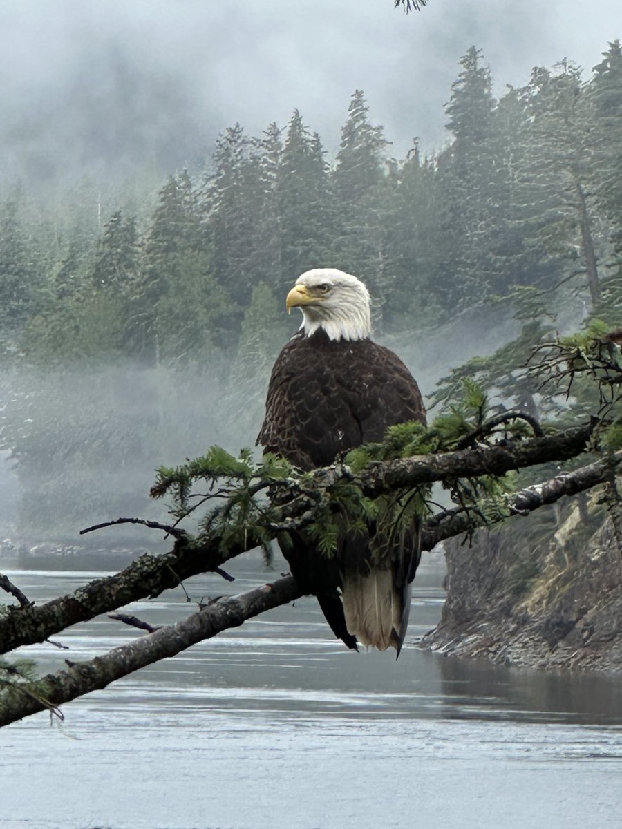 Jkylebass's tweet image. Independence Day is a celebration of freedom earned, values declared, lives sacrificed, and responsibilities accepted.
America is the greatest country in the world…and today, we honor the freedom, sacrifice, and unshakable spirit that made it so. 🇺🇸 #IndependenceDay