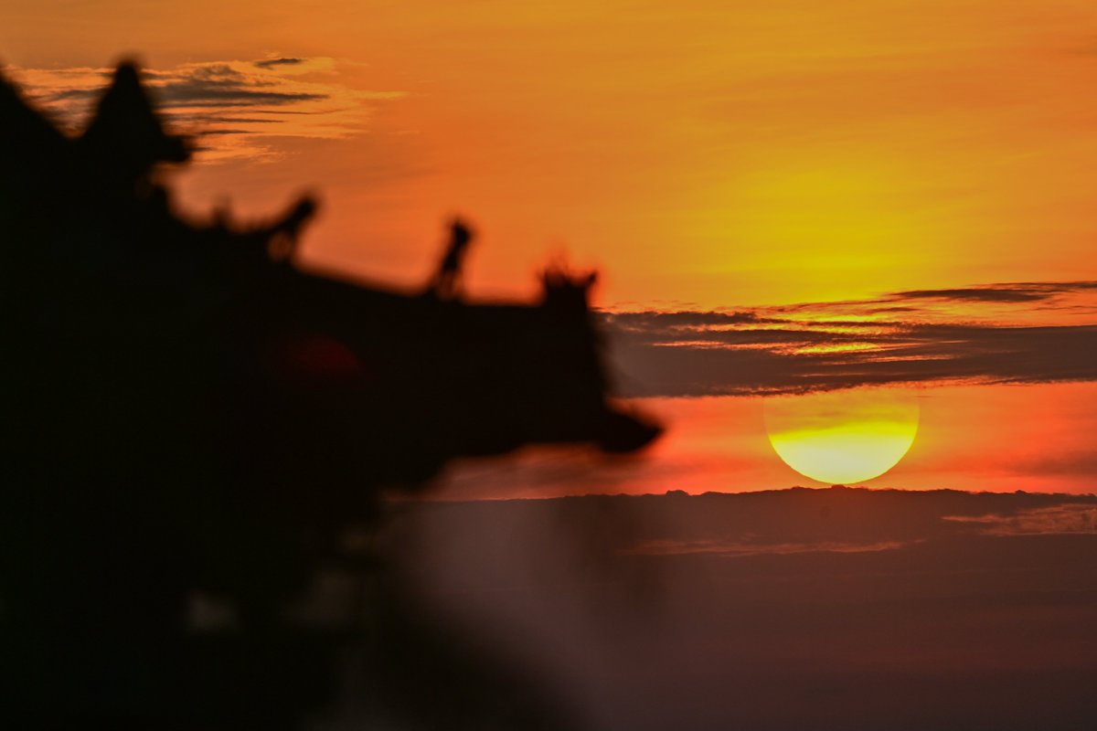 Good View Hunting tweet media