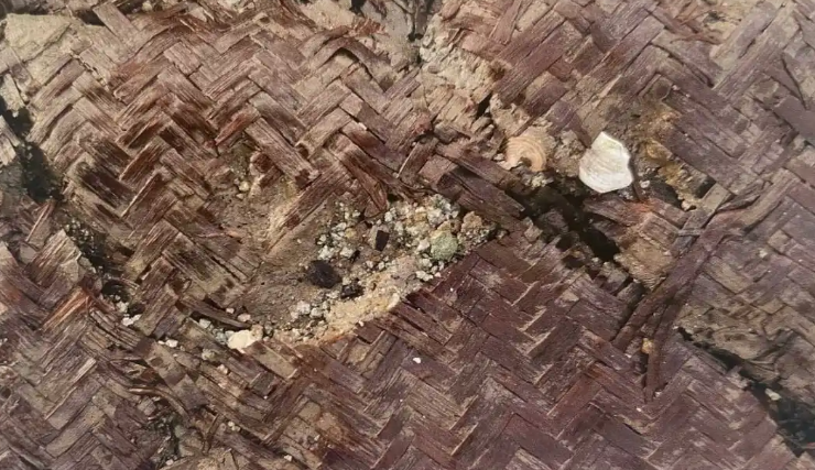 i_yuyao's tweet image. Summer's bamboo mats? A #TimelessChoice by ancient Chinese! 🌿 An 8,000-year-old mat unearthed at #Yuyao's Jingtoushan site reveals skilled weaving—potentially China's oldest! Dive into history's cool side ❄️ #AncientCraft #ArchaeologyFinds #CulturalHeritage