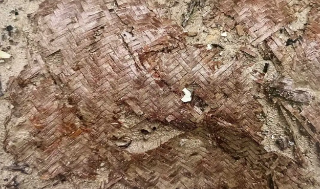 i_yuyao's tweet image. Summer's bamboo mats? A #TimelessChoice by ancient Chinese! 🌿 An 8,000-year-old mat unearthed at #Yuyao's Jingtoushan site reveals skilled weaving—potentially China's oldest! Dive into history's cool side ❄️ #AncientCraft #ArchaeologyFinds #CulturalHeritage