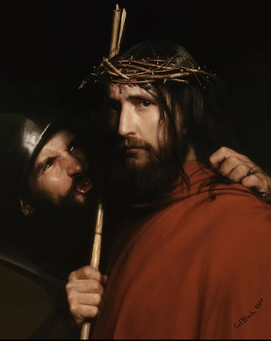 Lord Plebington (@btcweirdo0) on Twitter photo 