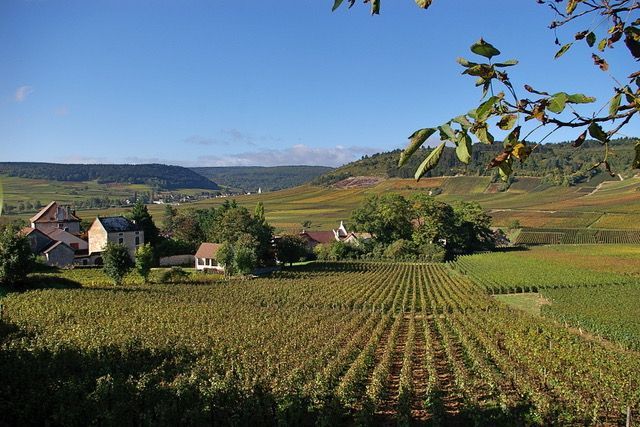 Discover the French region of Burgundy, once known as the valley of the kings, now for its wines. #FrenchProperty #Burgundy #Bourgogne #Immobilier my-french-house.com/regions/bourgo…