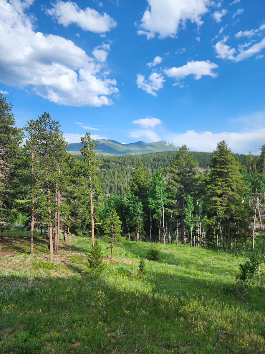 What's up Lincoln Hills!