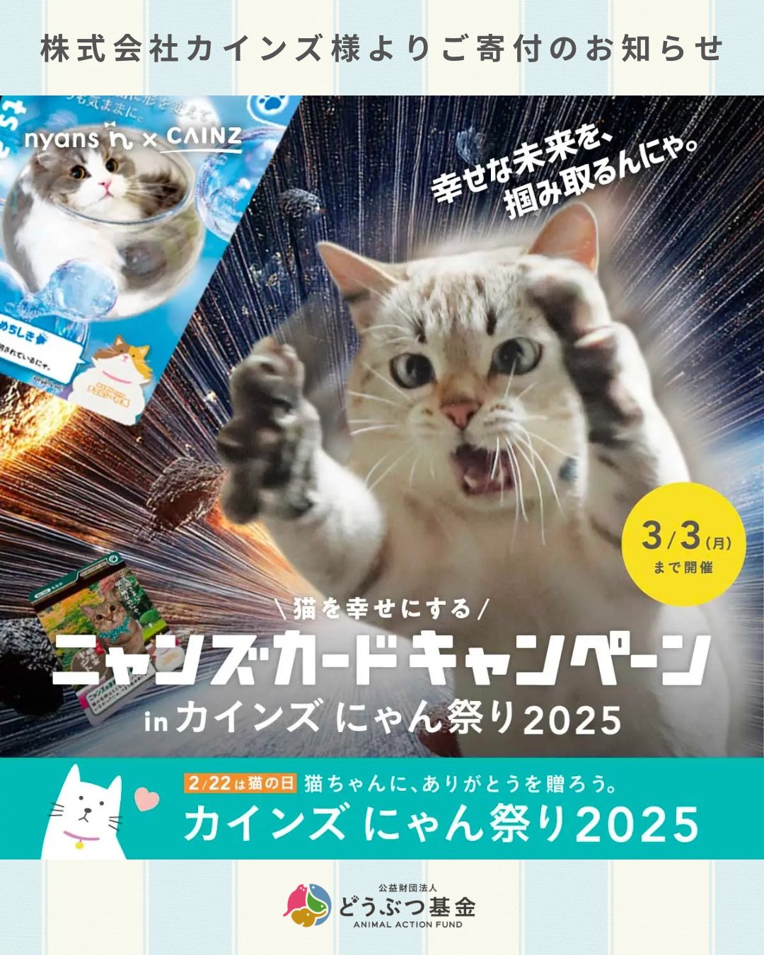 公益財団法人どうぶつ基金 on X: 