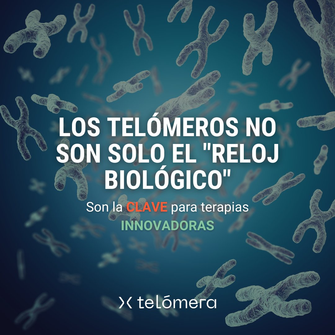 telomerahealth's tweet photo. ⏳ Los telómeros, mucho más que el “reloj biológico” de las células, son clave para terapias innovadoras en antienvejecimiento, cáncer, enfermedades cardiovasculares y medicina regenerativa

🧬 En #Telómera, ofrecemos soluciones innovadoras en salud

https://t.co/wDXbdnlGzk https://t.co/xbodIQzVB4