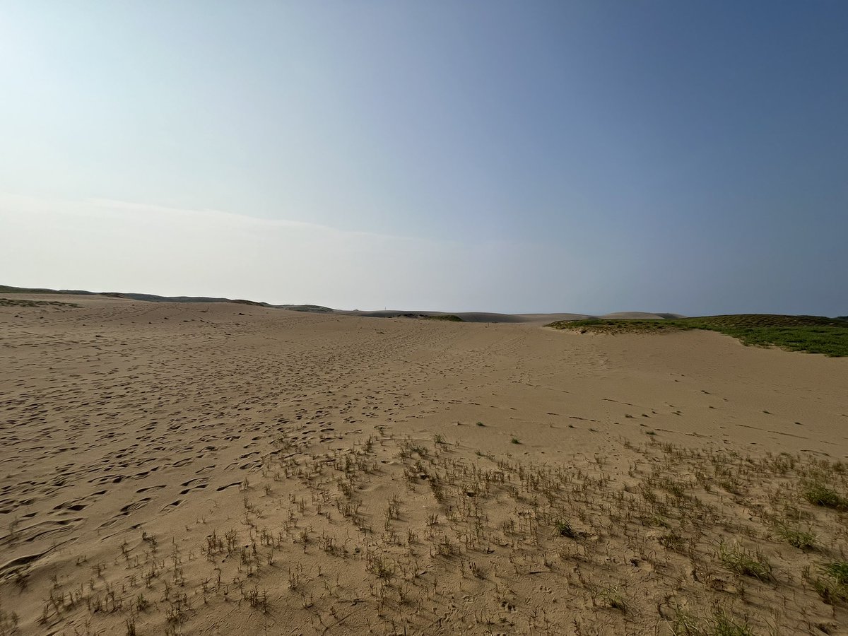 鳥取砂丘着‼️くそあちぃ‼️