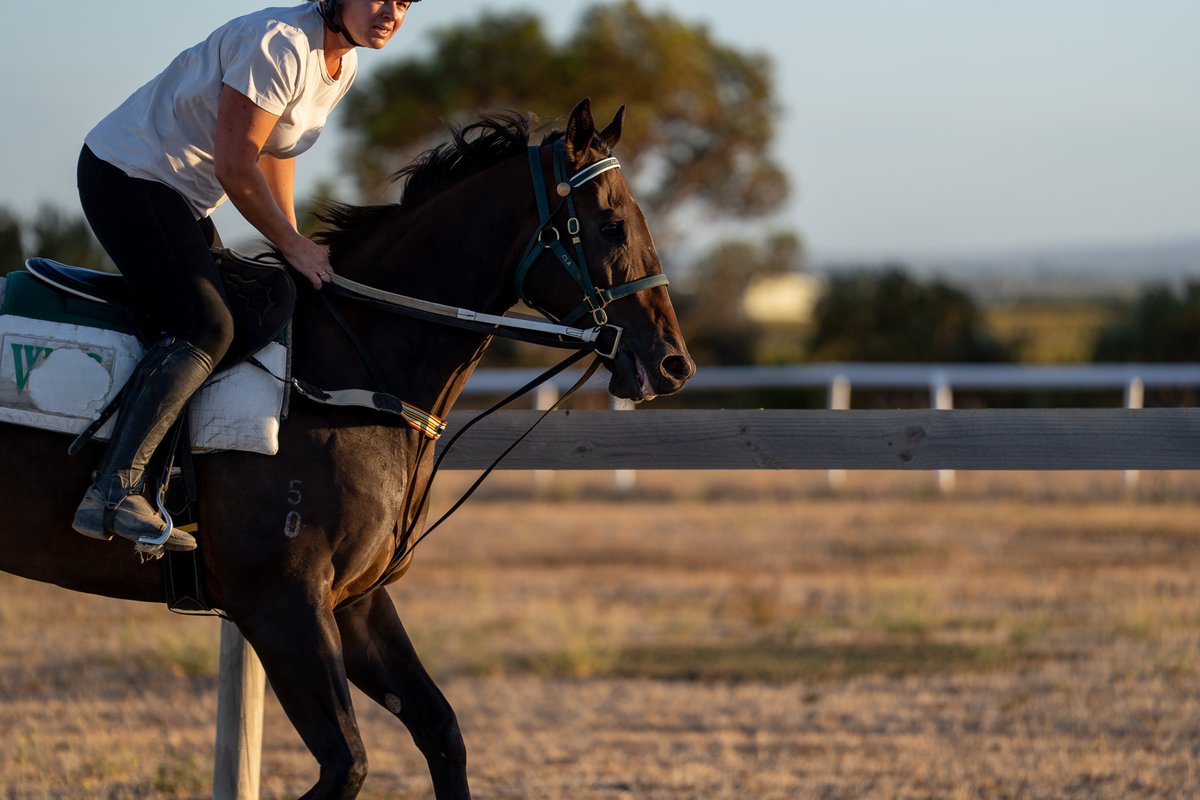 Clarken Racing tweet media