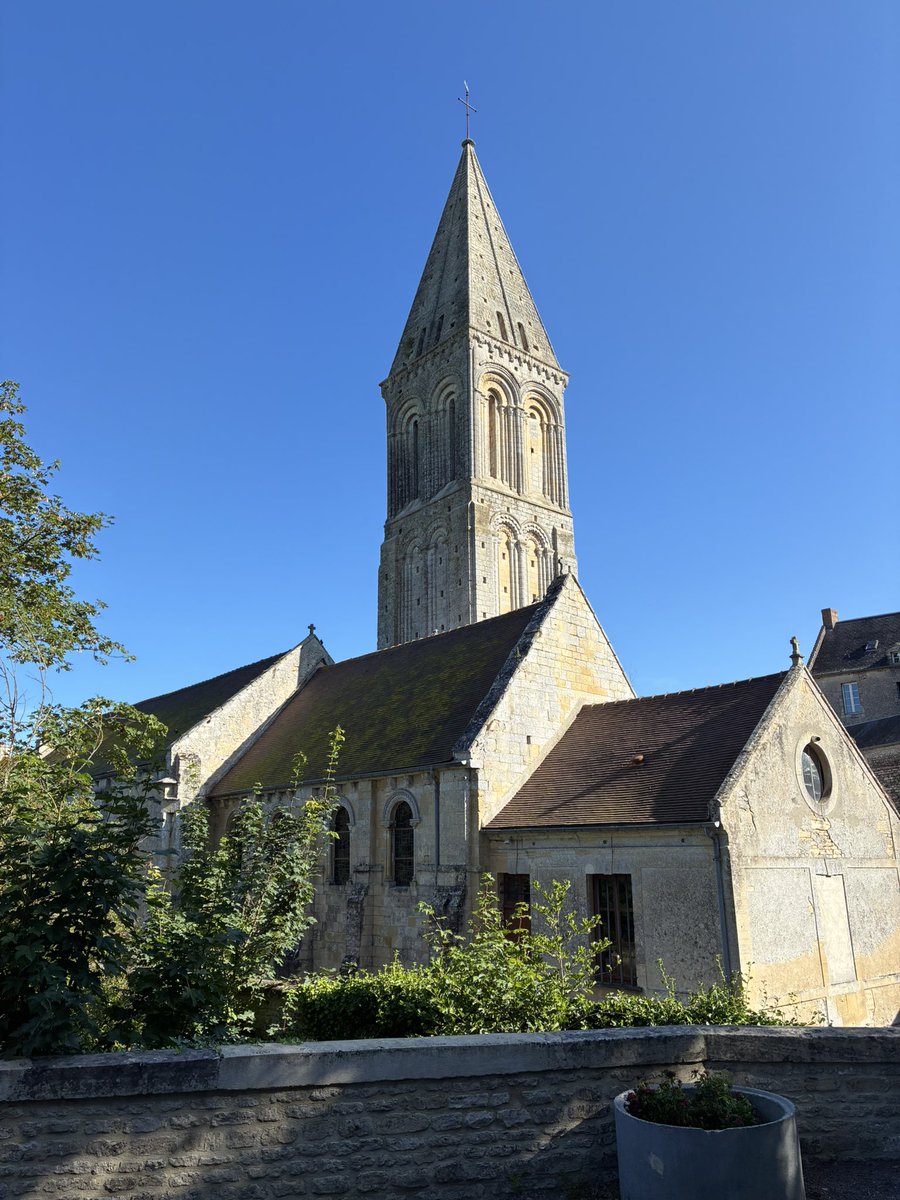 Ripley Languages tweet media