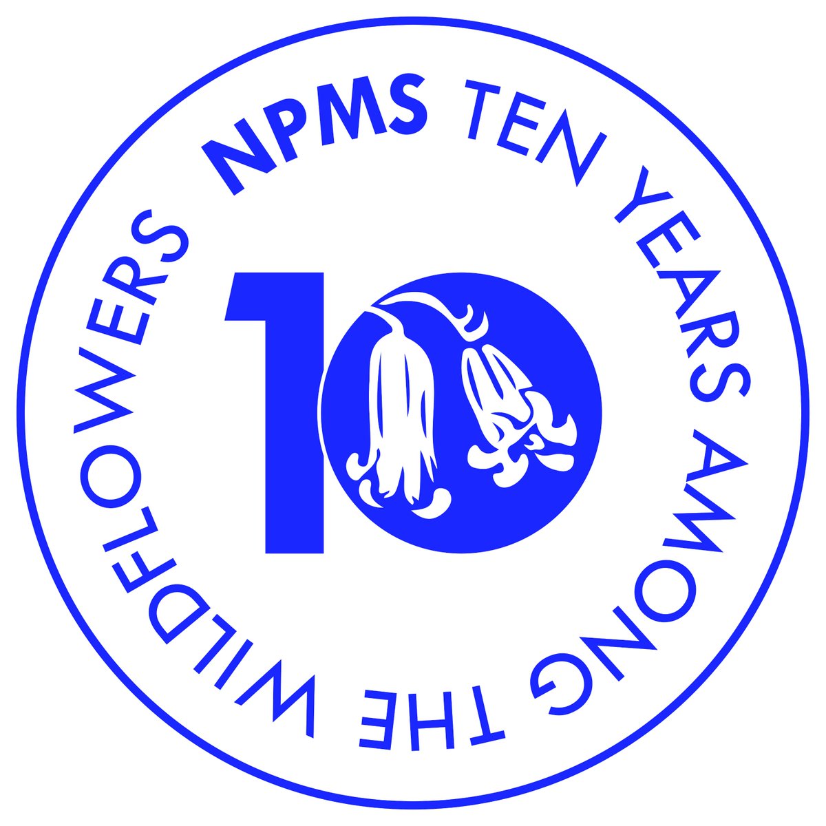 National Plant Monitoring Scheme (@thenpms) on Twitter photo Did you know we are celebrating 10 years of #NPMS this season? Here's a sneak peak of our 10 year anniversary logo and keep an eye out for upcoming news and ways you can get involved in celebrating with us. #NPMS10 Did you know we are celebrating 10 years of #NPMS this season? Here's a sneak peak of our 10 year anniversary logo and keep an eye out for upcoming news and ways you can get involved in celebrating with us. #NPMS10