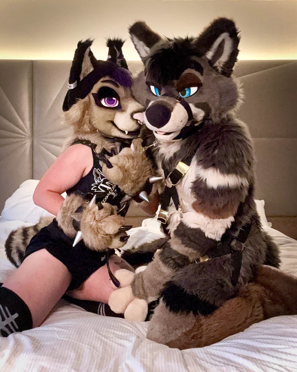 Tav π NFC, CFZ (@tavtavern) on Twitter photo Being a good dog for a bad cat π
#FursuitFriday
π± <a href="/KafesCoffeeCat/">π£ πππΆπ₯π’πͺ π£</a> (actually a very good cat too) Being a good dog for a bad cat π
#FursuitFriday
π± <a href="/KafesCoffeeCat/">π£ πππΆπ₯π’πͺ π£</a> (actually a very good cat too)