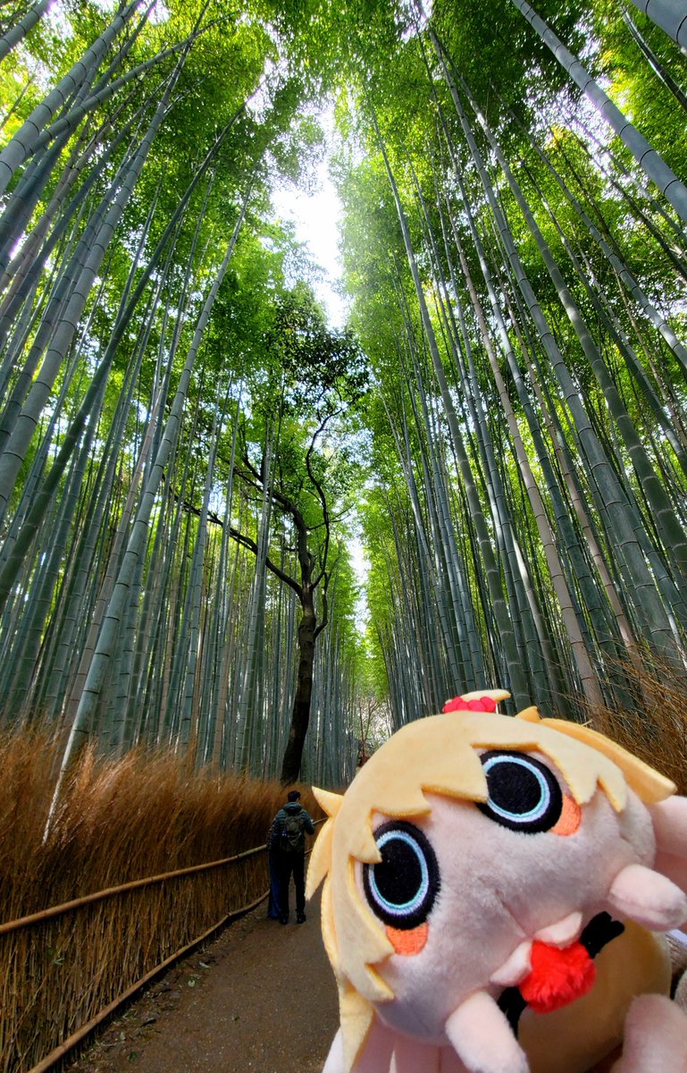 ShojoFigure's tweet photo. @natsuiromatsuri Hi from Malaysia! Sneaky Taranchama tagged along during my vacation in Japan 🕷️ https://t.co/XixssLSoqh