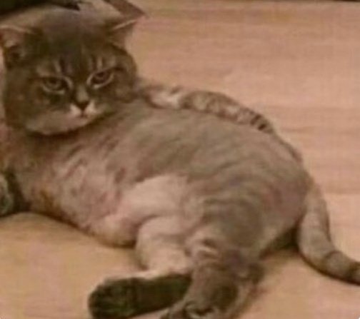 min yoongi, nba ambassador and mlb team shareholder? u r so sexy.