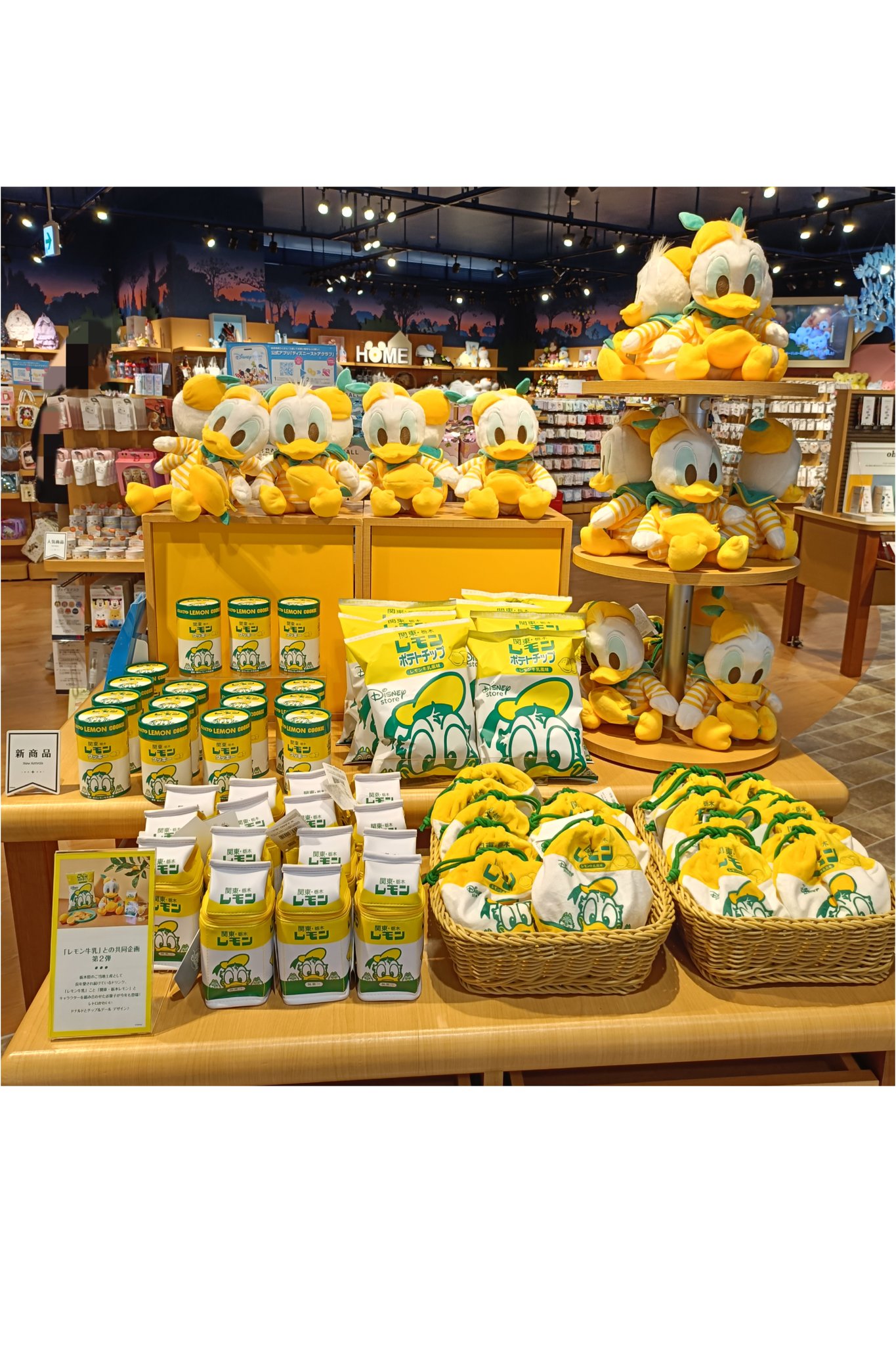 ドナルド ラムネ ケース入り 関東・栃木レモン LEMON GYUNYU ドナルド ラムネ ケース入り 関東・栃木レモン LEMON GYUNYU
