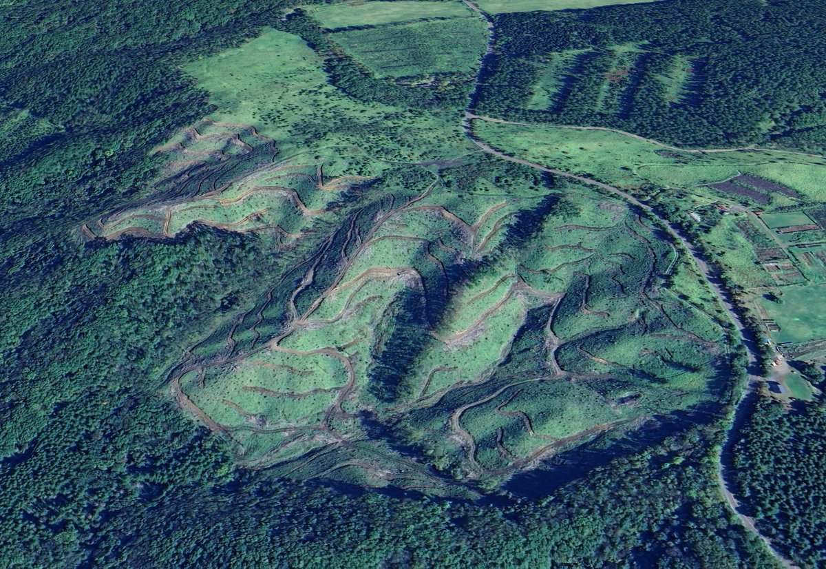 Hachisuke8118's tweet image. #土地売ります
#北海道12万4千坪の土地売ります
北海道です
釧路市阿寒町です
見晴らし最高です
アウトレジャーにもってこいです
バギー
モトクロス
四駆
全長約10kmオフロードコース出来てます
鹿ちゃんいます
熊はいません
入り口に電気と4tトラックのコンテナ2台設置済み
希望価格
3,333万円〜