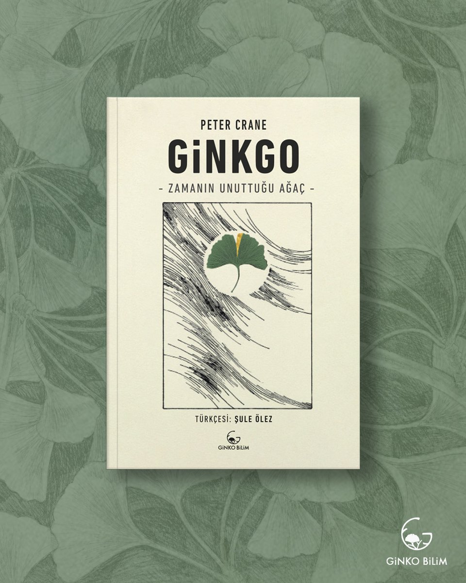 Dinozor çağından günümüze ulaşan “yaşayan bir fosil” Ginkgo...
Zarif yaprakları, uzun ömrü ve ilham dolu öyküsüyle büyülüyor.
Peter Crane’in kitabı, bu kadim ağacın gizemli tarihini ve kültürel izlerini anlatıyor.

“Zamana meydan okuyan bir ağaç…”
ginkokitap.com/zamanin-unuttu…