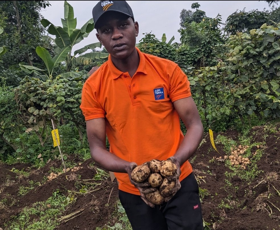 Farmers' Potato Academy (FPA) in Rwanda tweet media