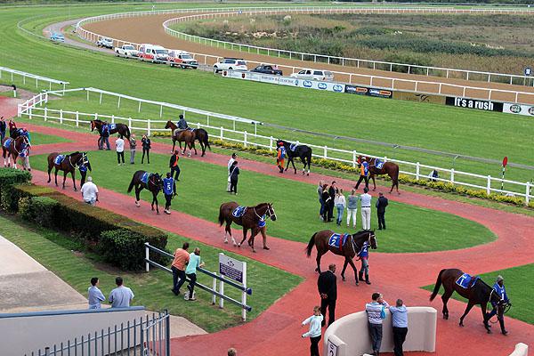 FAIRVIEW - 04 JULY 2025 🇿🇦

1️⃣ GLOBAL SCENE
2️⃣ AMERICAN MATADOR
3️⃣ RUBY CLAIRE
4️⃣ MUNCHKIN (BB)
5️⃣ DUBAI HILLS
6️⃣ SILVA CITY
7️⃣ FIRST WISH (NB)
8️⃣ SHARAPOVA