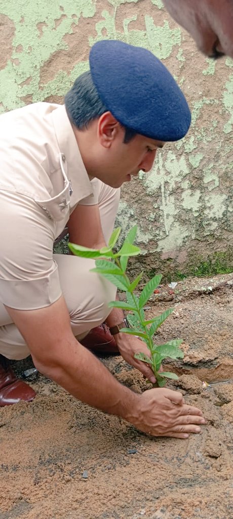 Good day to plant a tree.