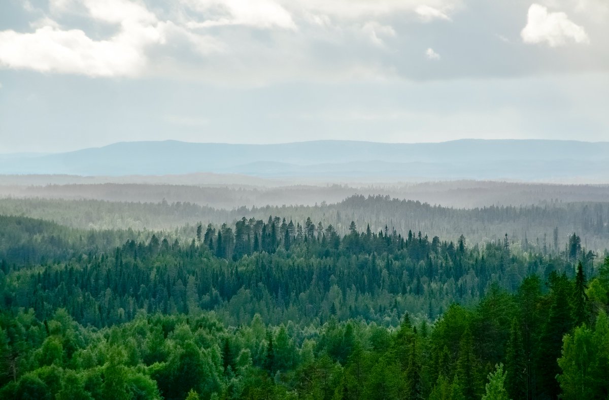 Strategiamme  2024–2026? 💡 ⚡ Tuemme puhtaiden kaasujen kasvua kehittämällä monikaasualustaa, vauhditamme vetytaloutta, kiihdytämme investointeja, vaikutamme vastuullisesti ja kasvatamme edelläkävijöitä. 
Lue lisää 👉 gasgrid.fi/wp-content/upl…   

#Gasgrid #Hiilineutraalius