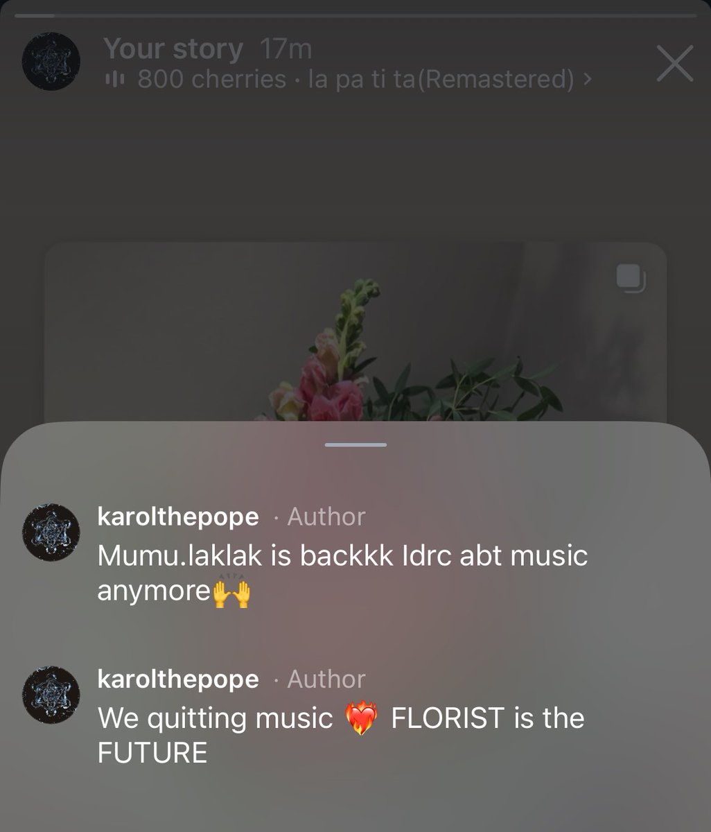 🚨 Pope threatens to quit music in new instagram story promoting his florist brand "mumu.laklak"
