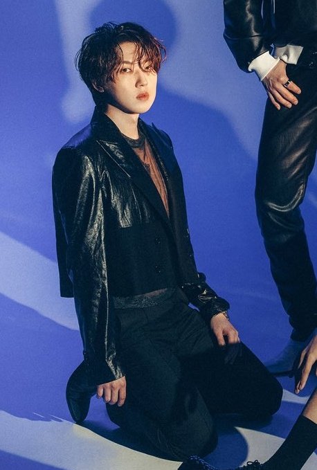 형님들 무릎꿇리는 그룹 어떤데 <미치겟네 진짜로