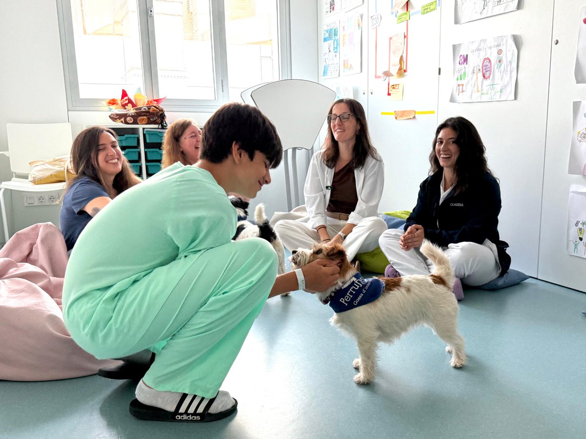 Vall d'Hebron (@vallhebron) on Twitter photo 🐶🧠 | #VallHebron incorpora una teràpia assistida amb gossos per a infants i adolescents ingressats per trastorns de salut mental.
Un projecte amb evidència científica, amb la Càtedra d’Animals i Societat de la <a href="/URJCcientifica/">URJCcientifica</a>, <a href="/Dingonatura/">Dingonatura</a> i <a href="/PerruneandoEs/">Perruneando</a>. T’ho expliquem 👇 🐶🧠 | #VallHebron incorpora una teràpia assistida amb gossos per a infants i adolescents ingressats per trastorns de salut mental.
Un projecte amb evidència científica, amb la Càtedra d’Animals i Societat de la <a href="/URJCcientifica/">URJCcientifica</a>, <a href="/Dingonatura/">Dingonatura</a> i <a href="/PerruneandoEs/">Perruneando</a>. T’ho expliquem 👇