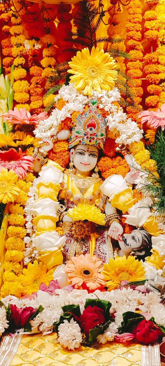 माँ बगलामुखी का हृदय बहुत कोमल है। माँ सदैव अपने भक्तों को सुख, समृद्धि एवं वैभव प्रदान करती हैं।