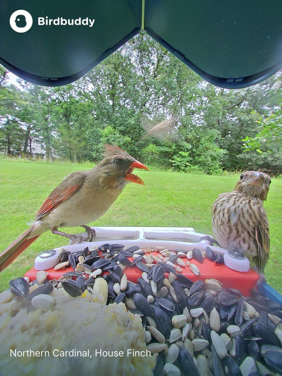 “you said you weren’t hungry.”

“i’m not. i just want a bite.” ahh